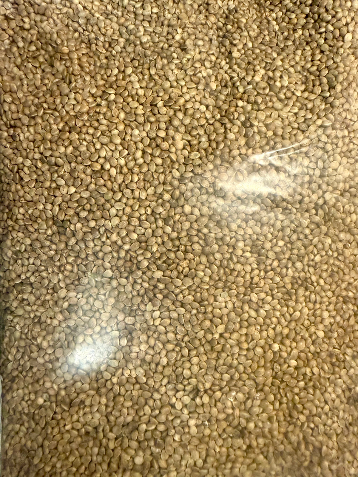 Ripkitty Premium Organic Whole Live Raw Viable Hemp Seeds
