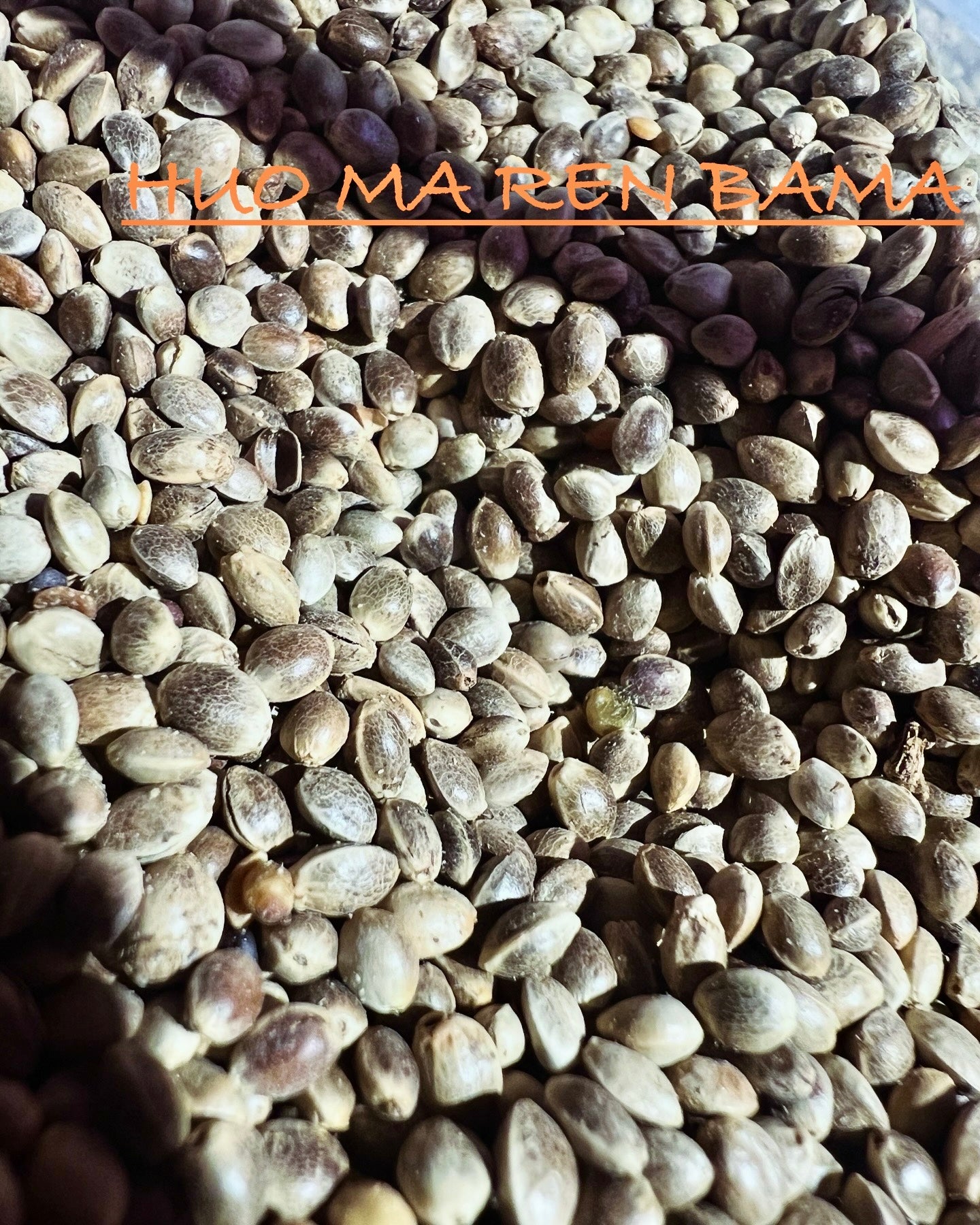 Ripkitty International & Domestic Live Raw Viable Hemp Seeds Sold in Bulk & Single Amounts for Agriculture, Poultry, Equine Feeding, & Livestock