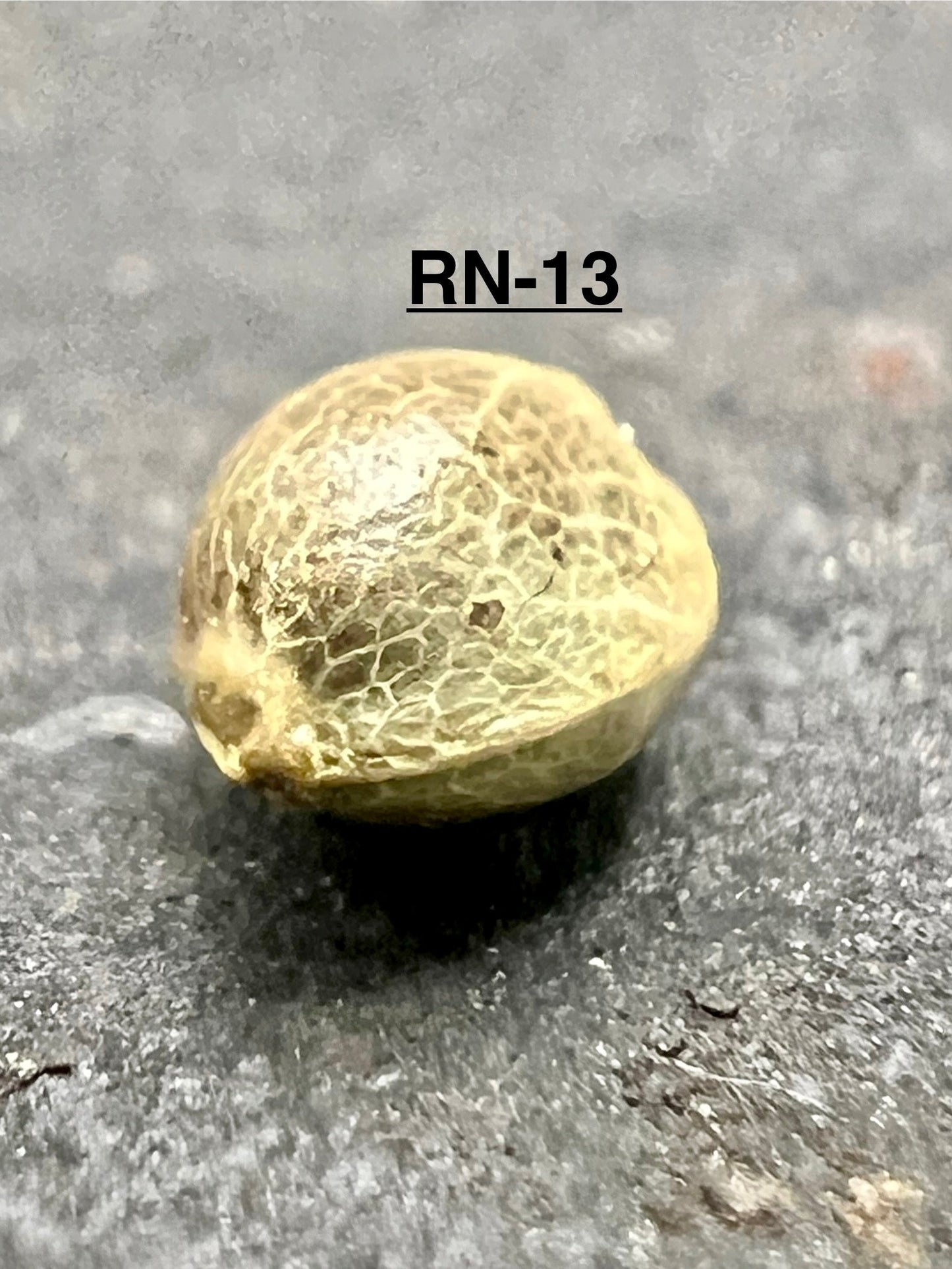 Ripkitty International & Domestic Live Raw Viable Hemp Seeds Sold in Bulk & Single Amounts for Agriculture, Poultry, Equine Feeding, & Livestock