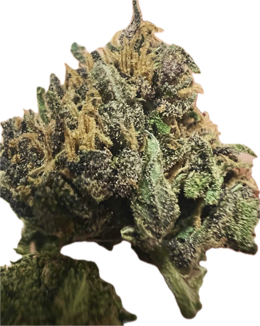 Ripkitty Pink Panther Flower