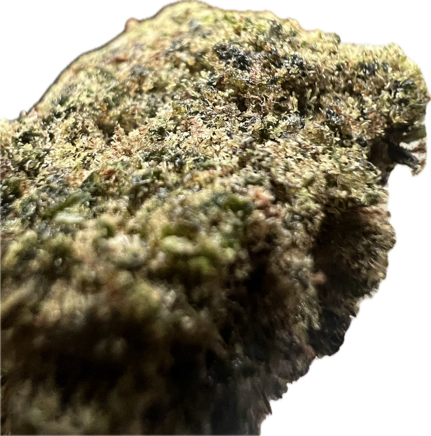 Ripkitty CakeBerry Flower