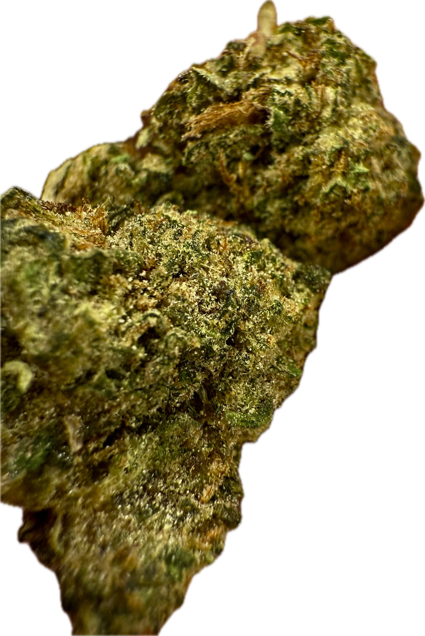 Ripkitty Rootbeer Floatz Hemp Flower