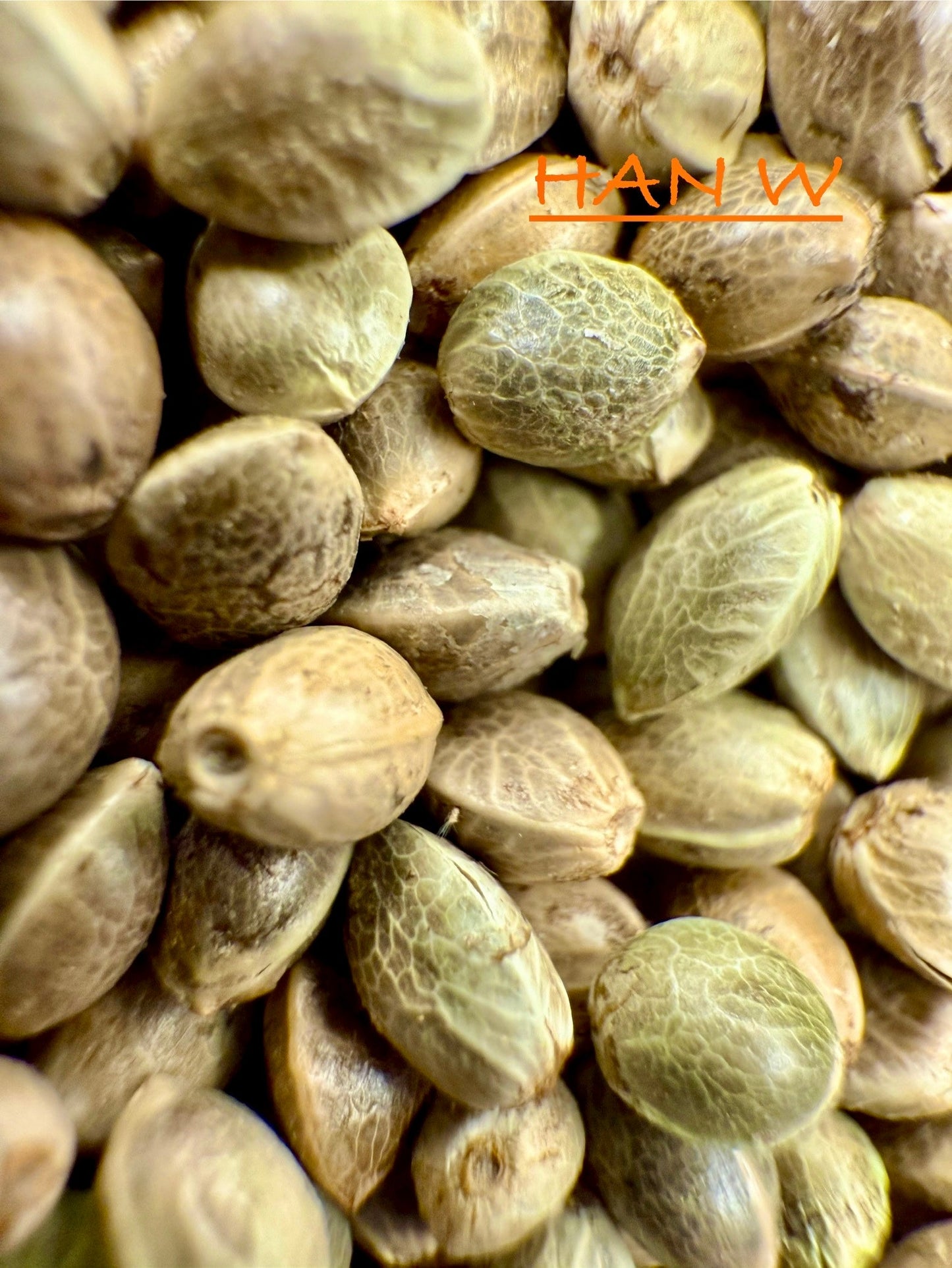 Ripkitty International & Domestic Live Raw Viable CBD Hemp Seeds Sold in Bulk & Single Amounts for Agriculture, Poultry, Equine Feeding, & Livestock