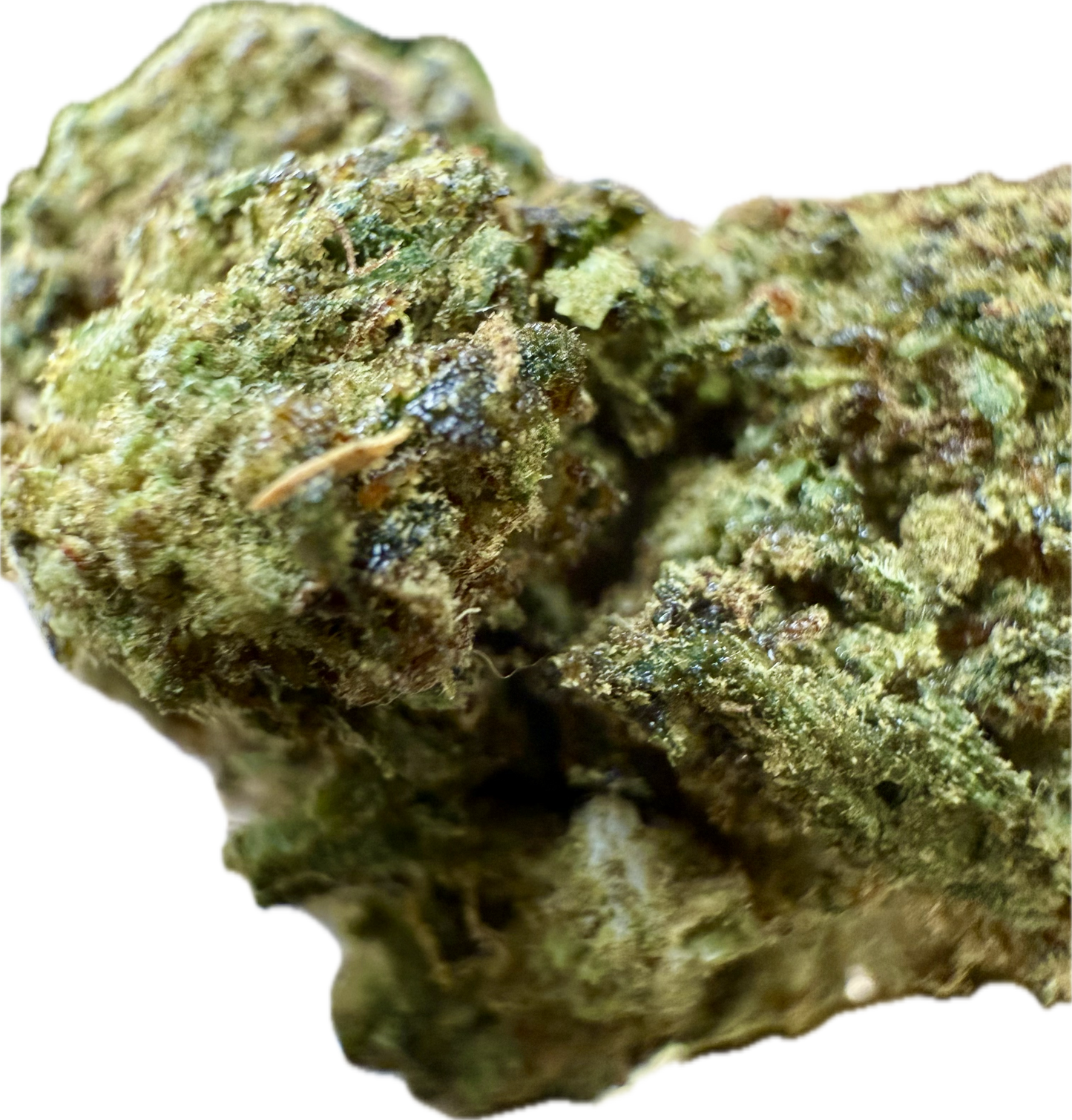 Ripkitty BK 59 Exotic Flower