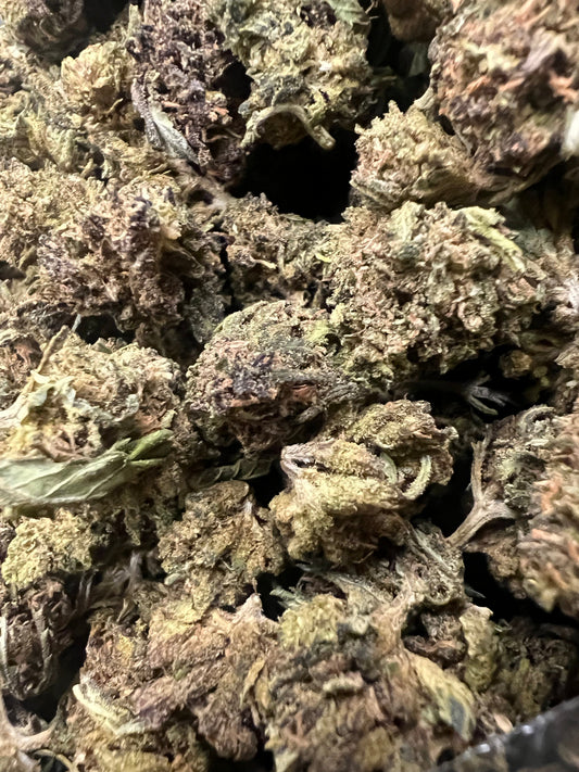 Ripkitty Abacus Diesel CBD Hemp Flowers