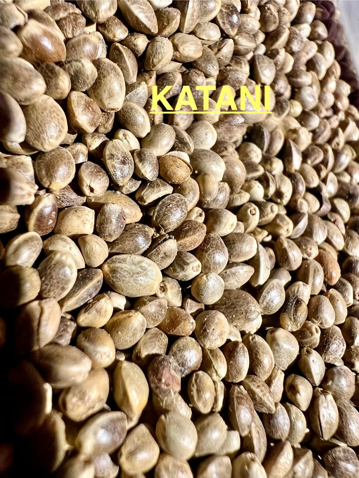 Ripkitty International & Domestic Live Raw Viable Hemp Seeds Sold in Bulk & Single Amounts for Agriculture, Poultry, Equine Feeding, & Livestock