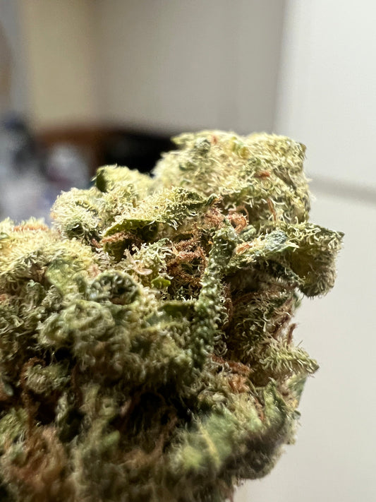 Ripkitty Suver Haze CBD Hemp Flowers