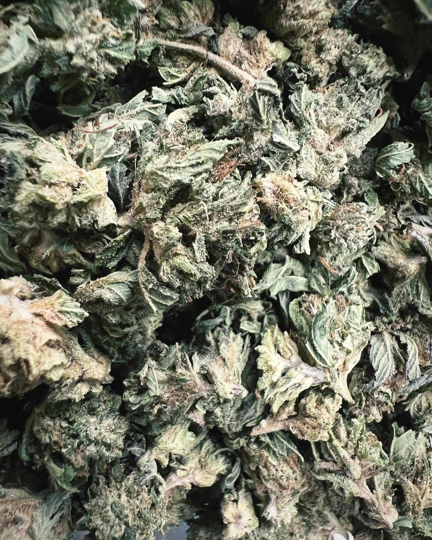 Ripkitty Bubba Kush 59 CBD Hemp Flowers - Bud’s Growery - Lot