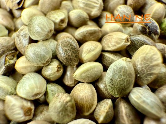 Ripkitty International & Domestic Live Raw Viable CBD Hemp Seeds Sold in Bulk & Single Amounts for Agriculture, Poultry, Equine Feeding, & Livestock