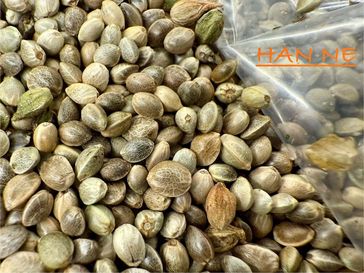 Ripkitty International & Domestic Live Raw Viable Hemp Seeds Sold in Bulk & Single Amounts for Agriculture, Poultry, Equine Feeding, & Livestock
