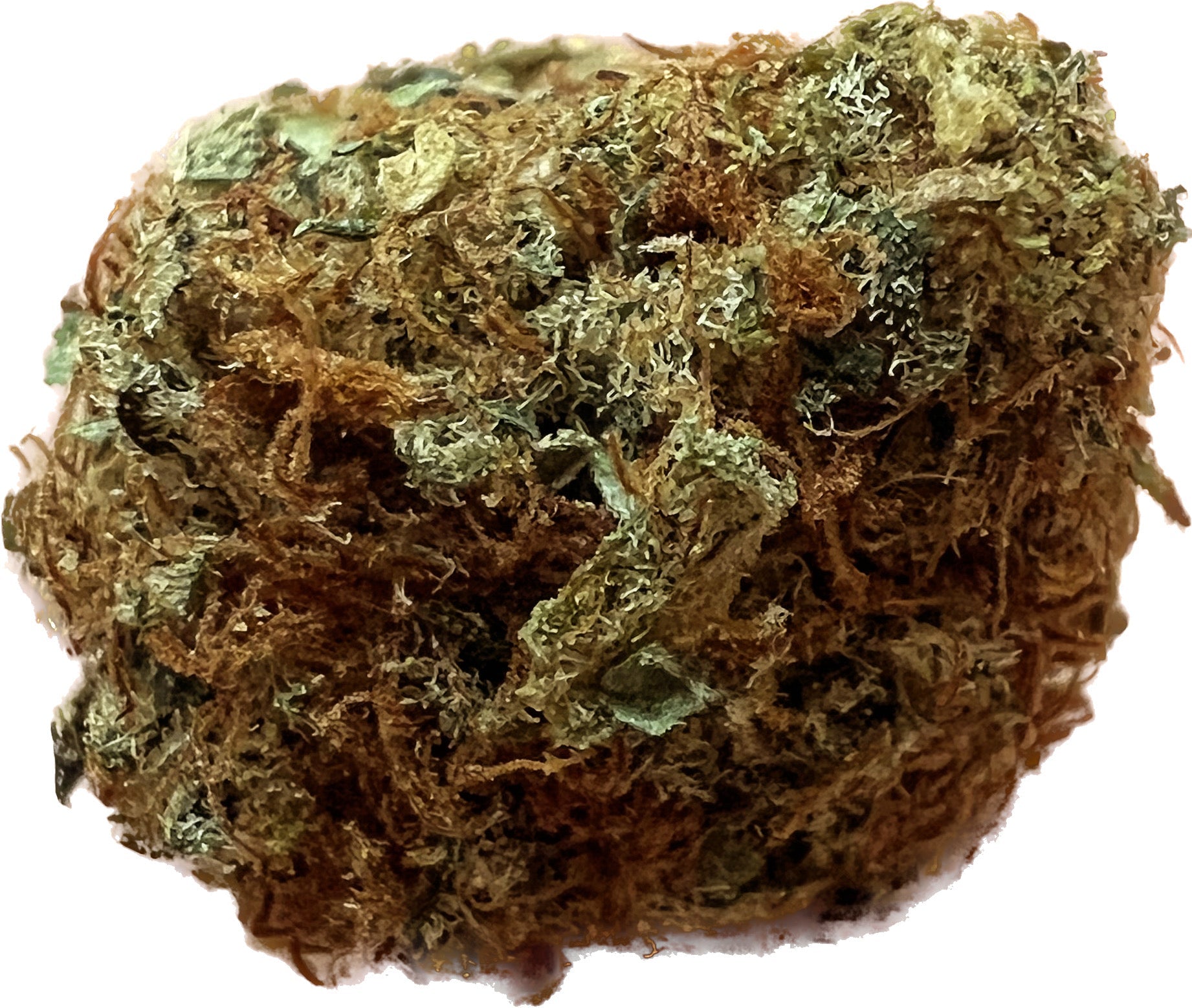 Ripkitty Bubba Kush 59 CBD Hemp Flowers - Bud’s Growery