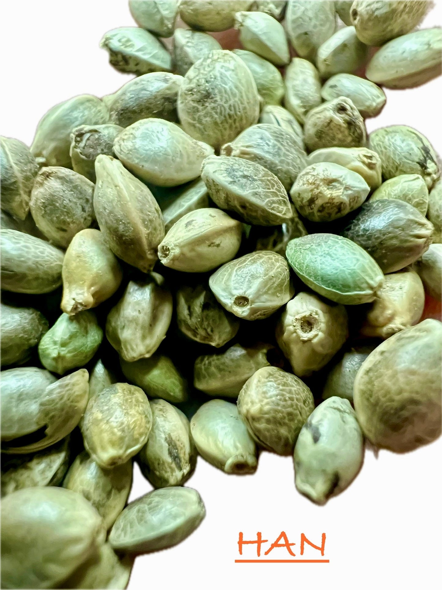 Ripkitty International & Domestic Live Raw Viable CBD Hemp Seeds Sold in Bulk & Single Amounts for Agriculture, Poultry, Equine Feeding, & Livestock