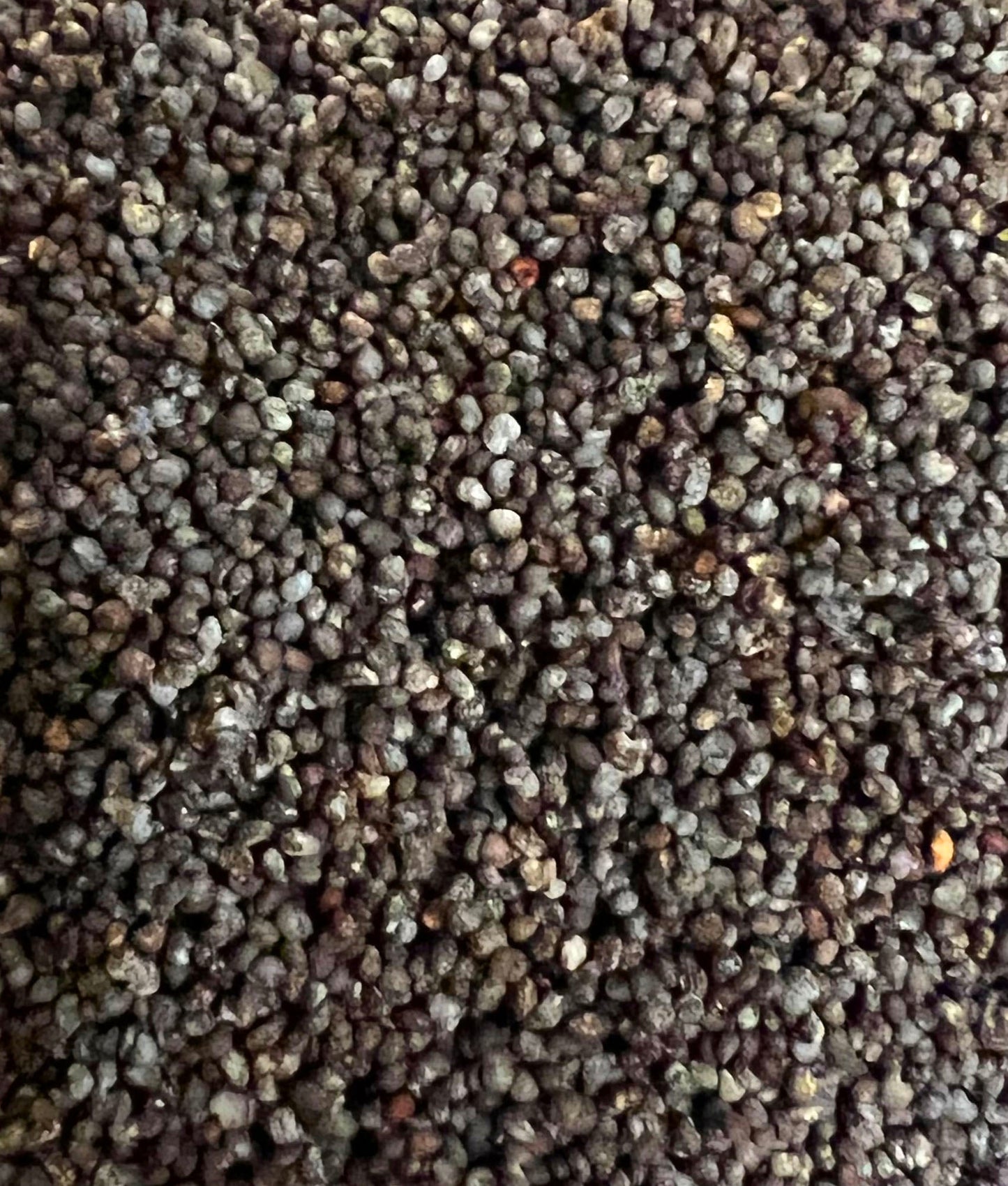 Ripkitty Premium Unwashed Untreated Unprocessed Raw Organic Natural Whole Papaver Somniferum Culinary Poppy Seeds